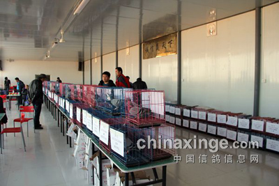 ���ɳĮ�������ȫ��ɨ��(ͼ)