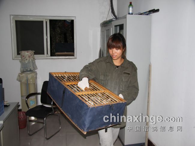 ��������������ؼ��뻨��(ͼ)