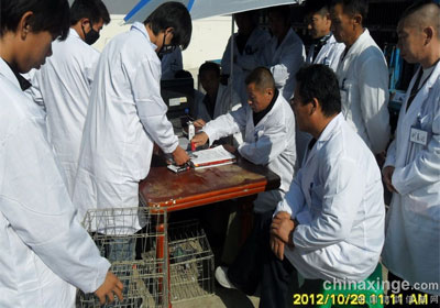 �򸣹���500����������չ�4��(ͼ)