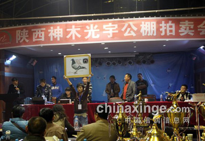 ɳĮ�����������������(ͼ)