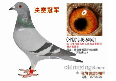 ����ǰʮ�������Ϊ����(ͼ)