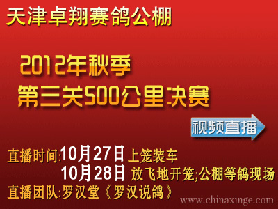 ���׿�蹫�������Ƶֱ��Ԥ��