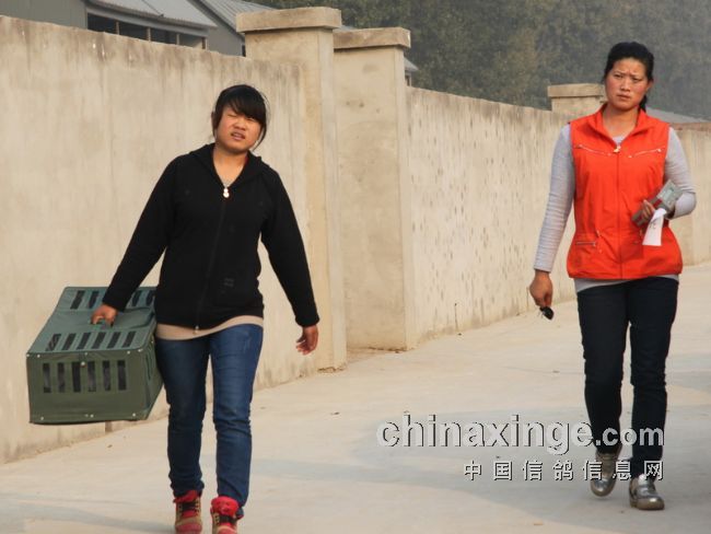 ������Ѿ��ֲ��رȶ���500���Ｏ���Ħͼ