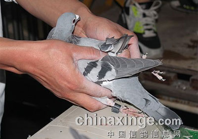 �������湫���׹ر�������(ͼ)