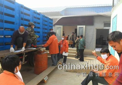 Ӫ����������������չ�ɼ�(ͼ)