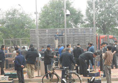 ���700������ѻ�����������鳲(ͼ)