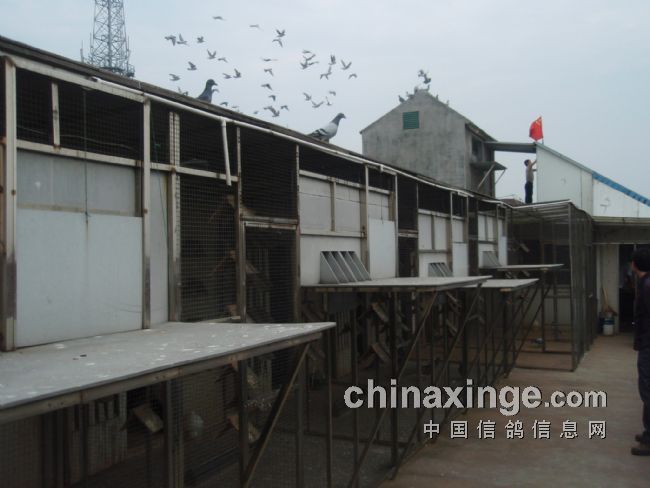 ��䱹�����(ͼ)