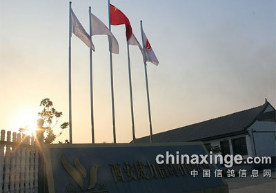 ����������һ��300����ɼ�(ͼ)