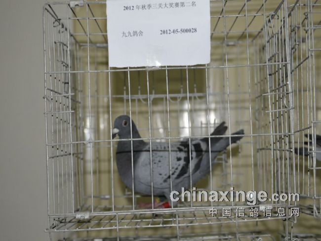 ͨ�����ش�����벢�ؽ�����(ͼ)