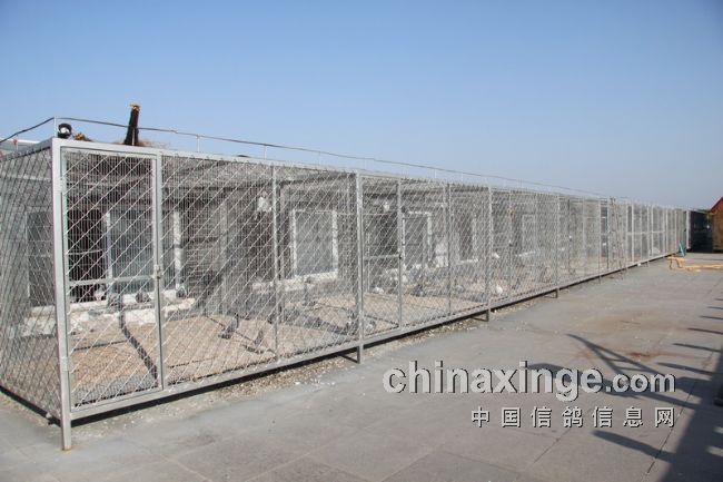 ������������500����ȸ�(ͼ)