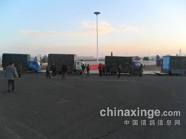 ɽ���Ĵ�����������ǧ����¶��Ұ��(ͼ)