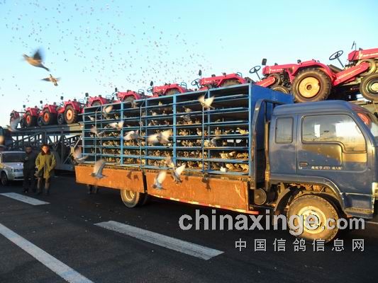 ���Ǿ���ҹ�鳲��ȡ��ʵ������