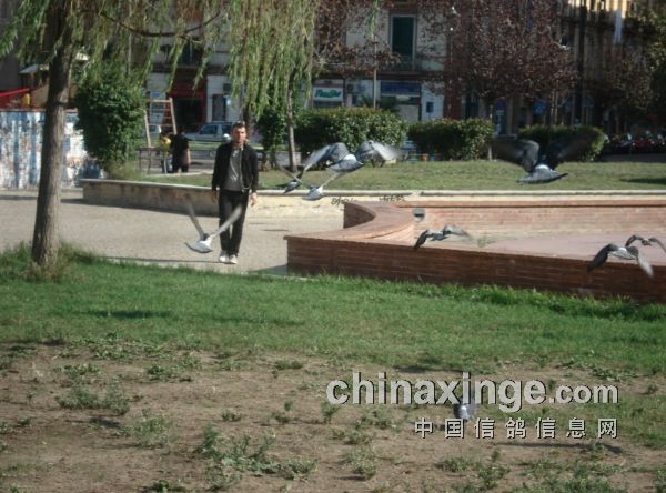 �����NABOLI�����Ĺ㳡��Ұ��