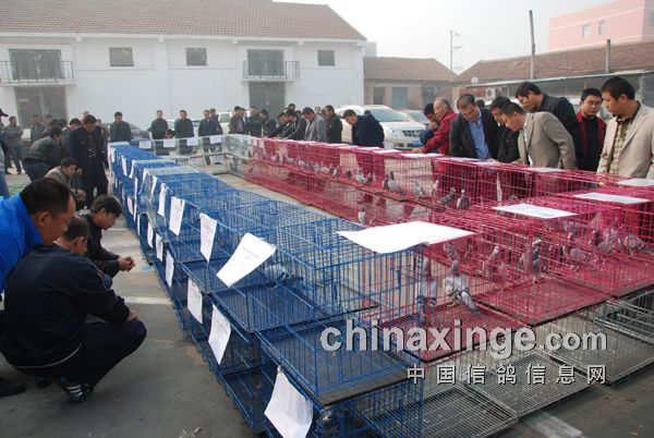 ����ƽԭ�����跢���������(ͼ)