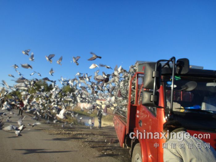 ���׿�蹫�����38���ӱ���