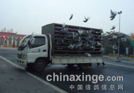 ʯ��ɽ�������߱����ڶ�����ʱ�ɼ�(ͼ)