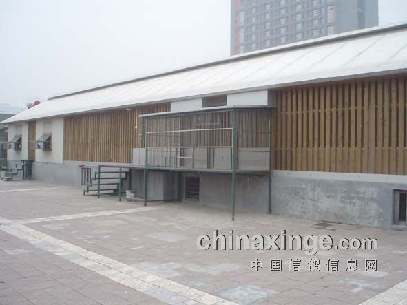 ���գ�Ԥ�������߹�����Ӯ��ʮ��