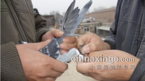 ��Զ�����⻷�ĵı�Ҫ��