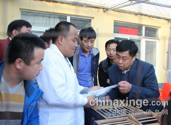 ������������������뻨��(ͼ)