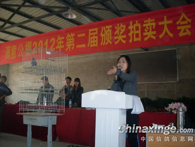 ���޵�����������⹫��������