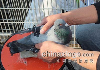 ��������ڶ���400�����������(ͼ)