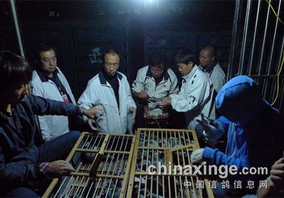 ���湫���׹�200�����������(ͼ)