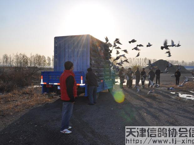 �����豱��ʮʡ�й��������ʵ(ͼ)