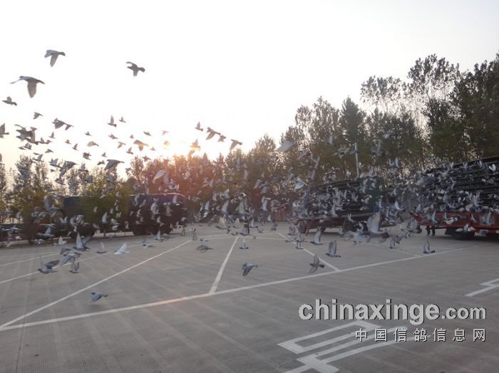 ������������������ɼ���¯