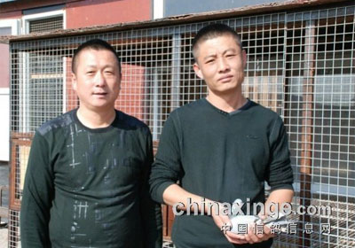 �����������ֲ��Ĺ��ۺ�ǰʮ��(ͼ)