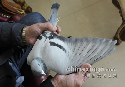 ͨ��2012���＾����������Բ������