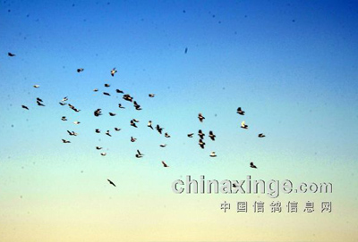 ֣�ݻ�Զ�����һ�ؾ���(ͼ)