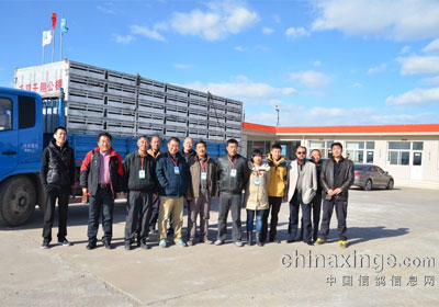 ǧ��ǧ�蹫��500��������ɼ�(ͼ)