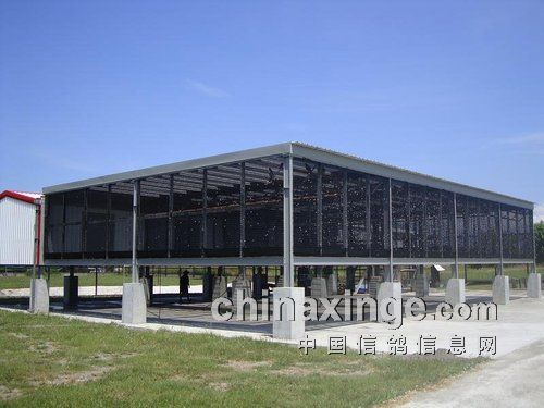 ̨��ְҵ����������ӥ�����Ǿ����