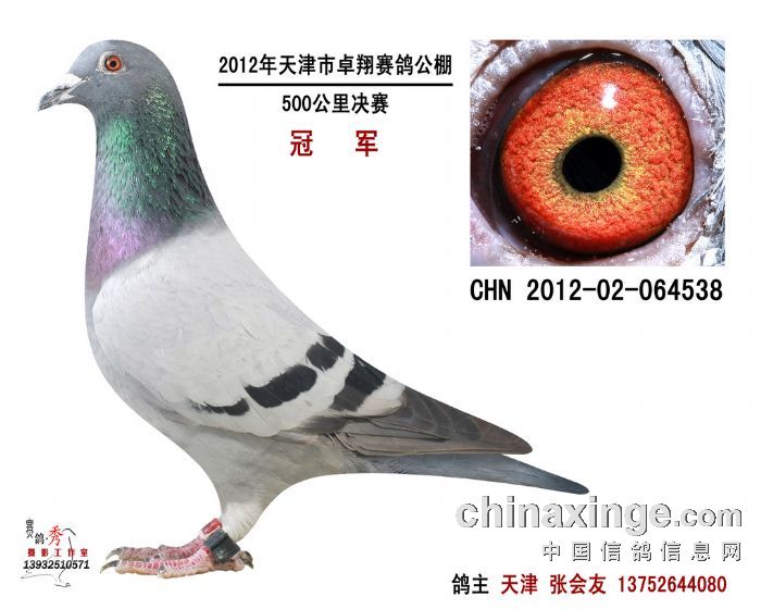 ���׿������������ ǰʮ������(ͼ)