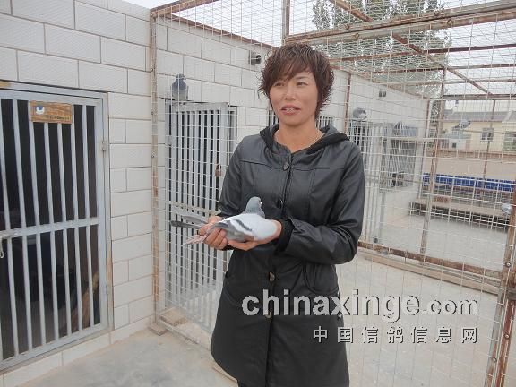 ����������2012�＾�׳������ճ�