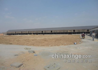 ���������������������빫��(ͼ)