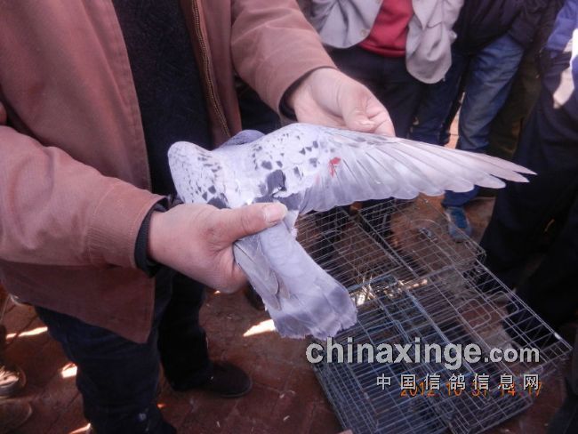 �ƶ��߹���������ձ��� ����չʾ���Ǿ�(ͼ)