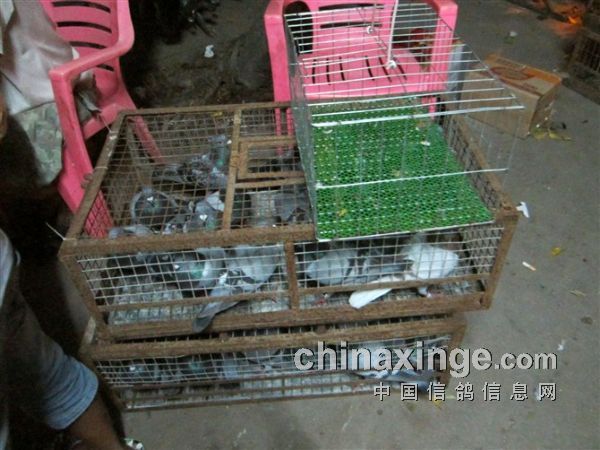 ���������ֶ�����տ��վ����(ͼ)