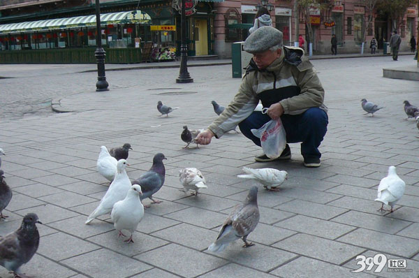 ���ǻ�����(ͼ)