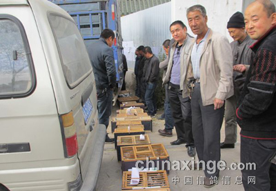 �����·��·��500���������ʵ(ͼ)