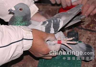 ���������׹ر��������ֳ�����(ͼ)