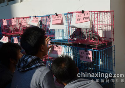 ��ͨ������������ֳ�(ͼ)