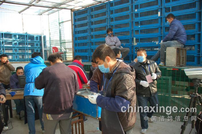 �������ǿ��չ����������Ԥ����ʱ�ɼ�