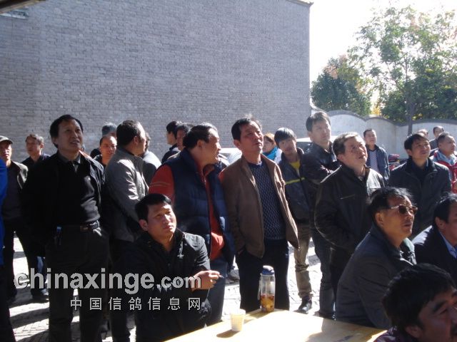 4�������Ĺ�������鳲������(ͼ)