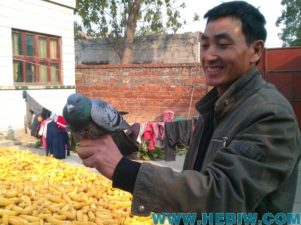 �������� ���˰�æѰ��