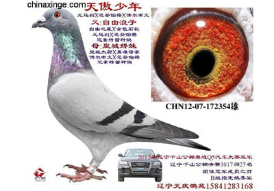 �����������ָ��ջ�ɹ�(ͼ)