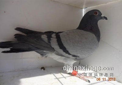 ������̨500����������ǰʮ�����(ͼ)