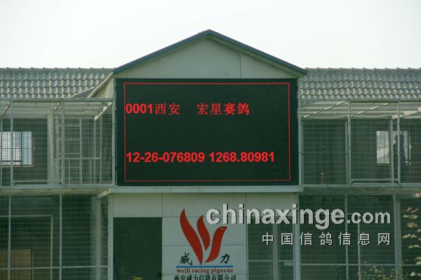 �����������������Ӯ��(ͼ)