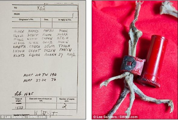 ר����ͼ�����ս�Ÿ���Я�ܵ�