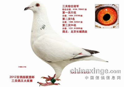 �ٸ�԰�����˱������ػ񽱸�չʾ(ͼ)